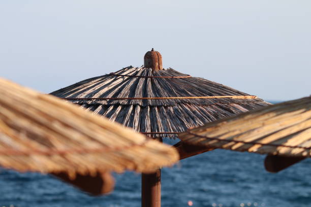 istock umbrellas by the sea 1422754136