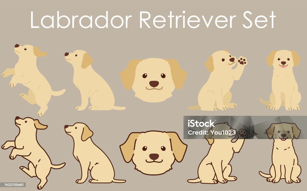 Labrador Simple Vector Image Simple And Adorable Cream Colored Labrador Retriever Illustrations Set ...