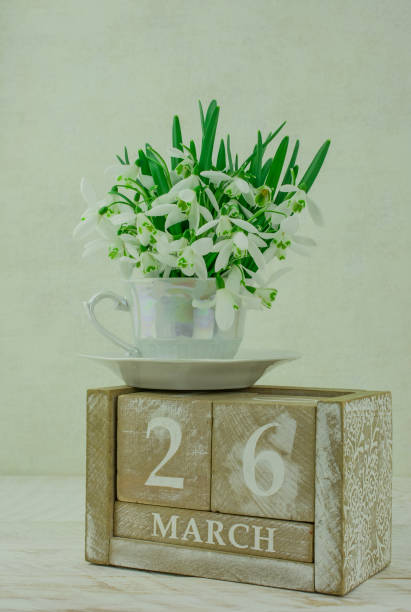 istock Snowdrops flowers in springtime, floral spring background 1422757381