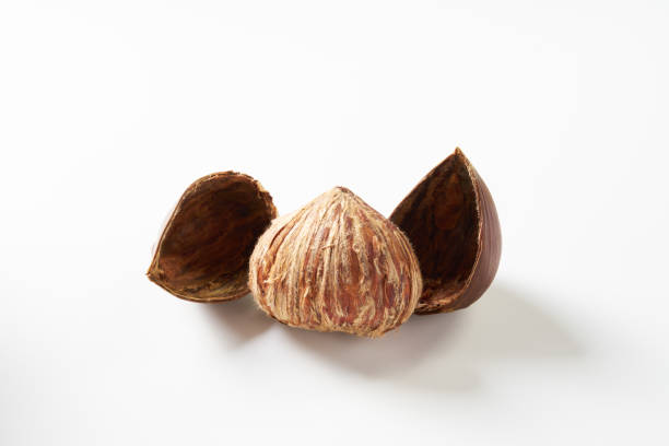 istock Japanese chestnut on white background 1422771693