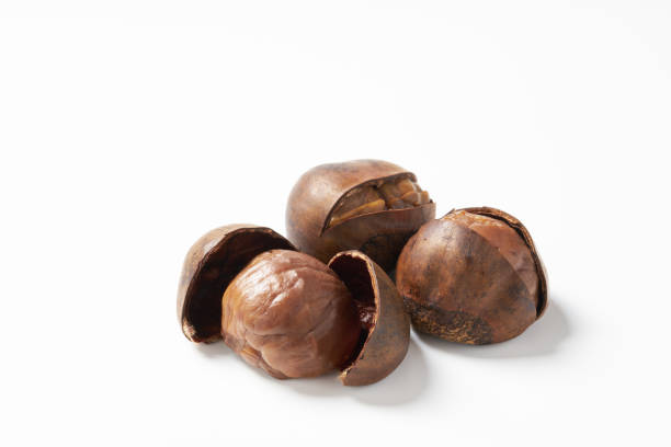 istock Japanese chestnut on white background 1422771871