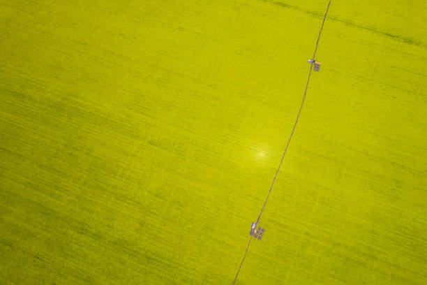 istock Aerial view oilseed rape fields and bee hives 1422775418