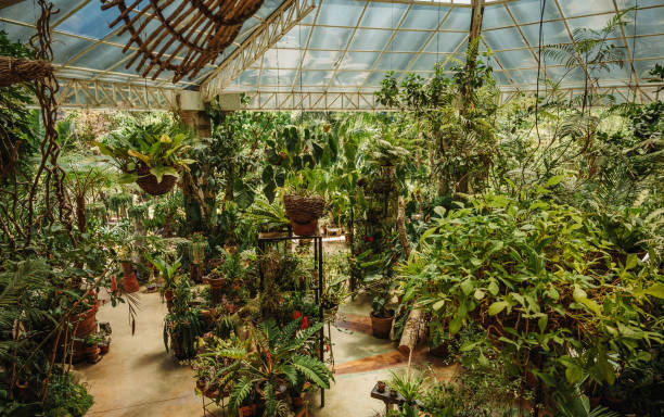 istock Botanical garden greenhouse 1422777096