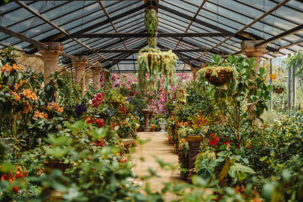 Vallarta Botanical Garden open air greenhouse in Puerto Vallarta