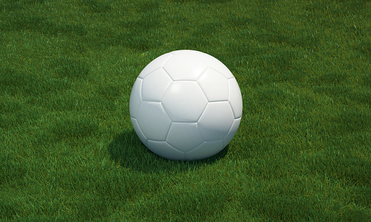 Grass soccer field with white soccer ball.