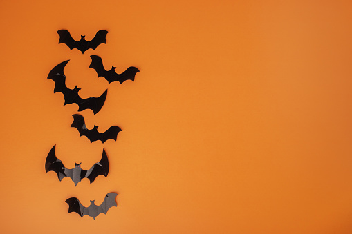 halloween background, bats on orange, autumn decoration, Happy halloween mockup