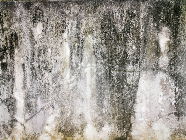 istock old grunge texture background perfect background with space and decorate the website 1422787061