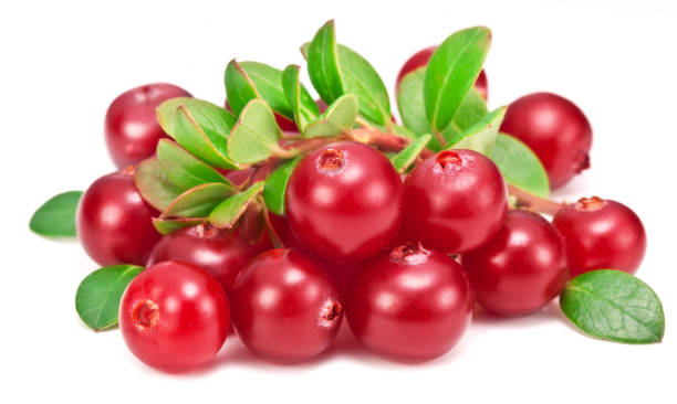 istock Cranberries and cranberry leaves isolated on white background. 1422794088