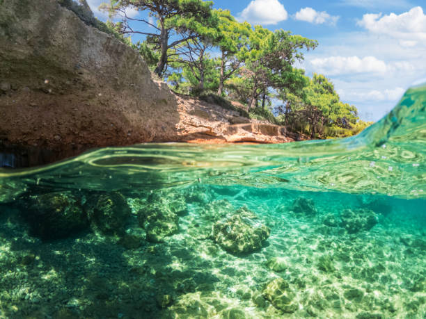 istock Split view - half underwater view of beautiful seabed and rocky coastline with pine trees, Turkey, Bodrum. 1422794466