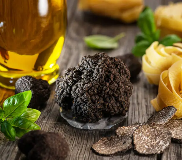 Black edible winter truffle, tagliatelle and fresh basil on wooden table. The most popular cooking ingredients.