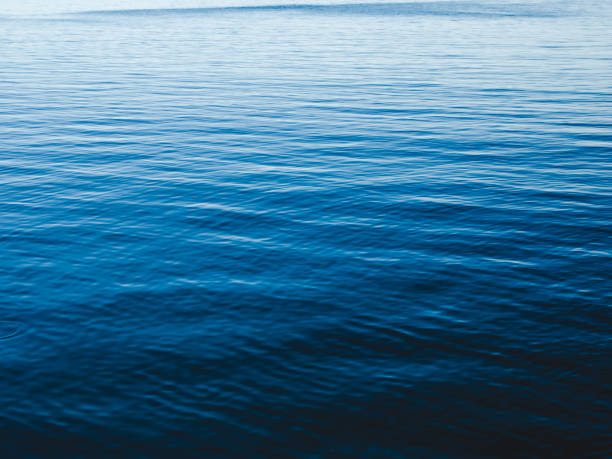 istock Seawater surface in summer day. 1422796575