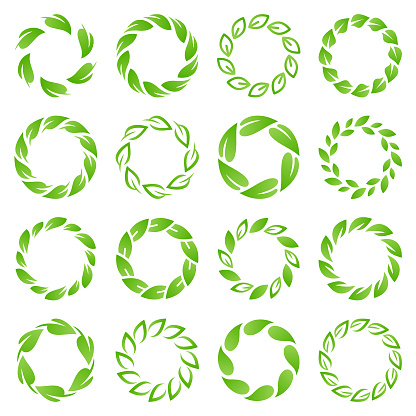Set of circles with green leaves. Vector design elements.