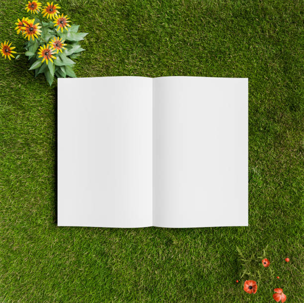 istock Open book on top view grass field, white book mock up design 1422800458