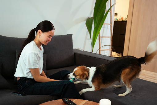 Young asian woman with dog at home