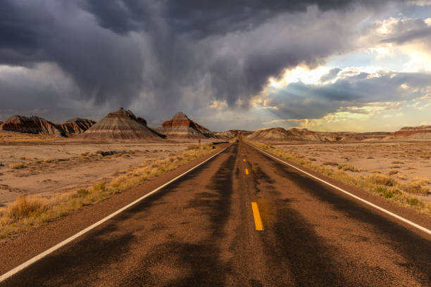 Storm on road in national park