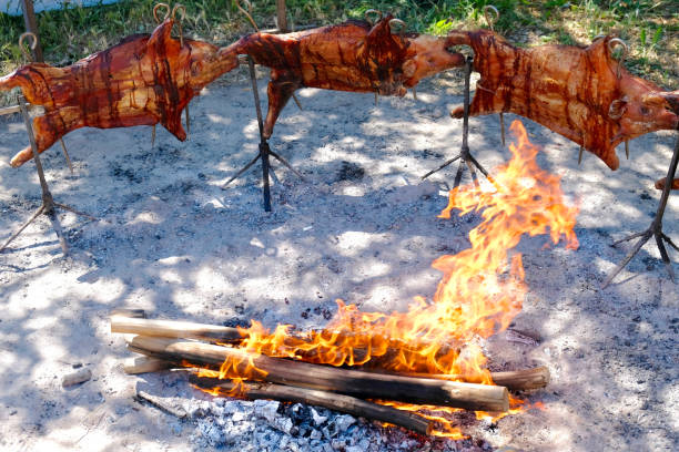 suinetti arrostiti su un fuoco aperto, sardegna. - spit roasted barbecue grill barbecue pork foto e immagini stock