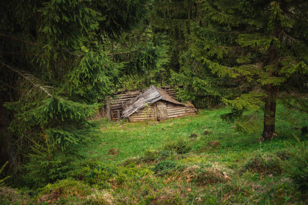 istock Abandoned wooden house 1422810049