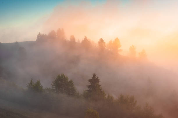 istock Majestic morning fog 1422810858