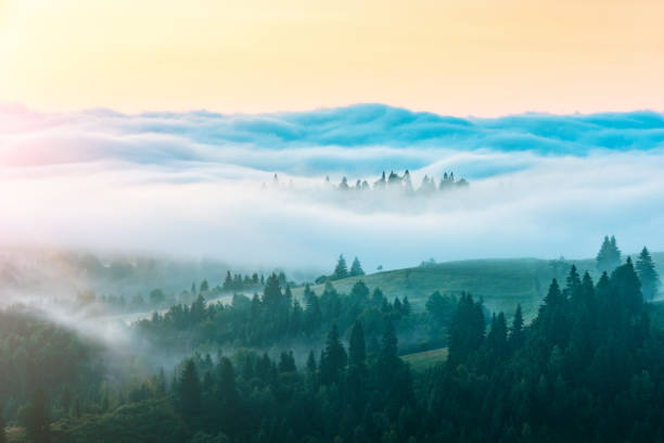 istock Early morning in valley 1422811107
