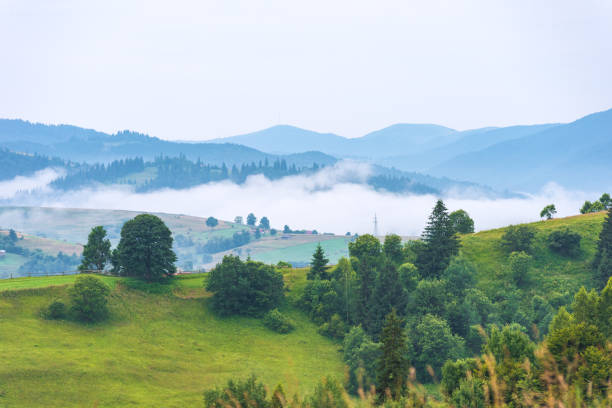 istock Early morning in alpine mountain valley 1 1422811208