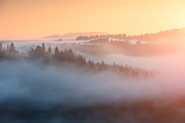 istock Majestic spring scene of sunrise in a valley 1422812023