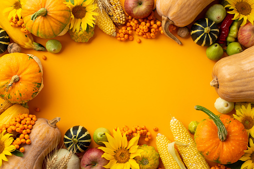 Thanksgiving day concept. Top view photo of vegetables pumpkins zucchini corn pattypans apples pears peppers gourds sunflowers nuts rowan on isolated orange background with empty space in the middle