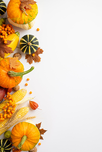 Thanksgiving day concept. Top view vertical photo of maple leaves raw vegetables pumpkins zucchini maize walnuts wheat rowan and physalis on isolated white background with empty space