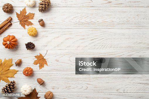 istock Thanksgiving day concept. Top view photo of maple leaves pine cones acorns small pumpkins walnut and cinnamon sticks on isolated white wooden table background with copyspace 1422812498