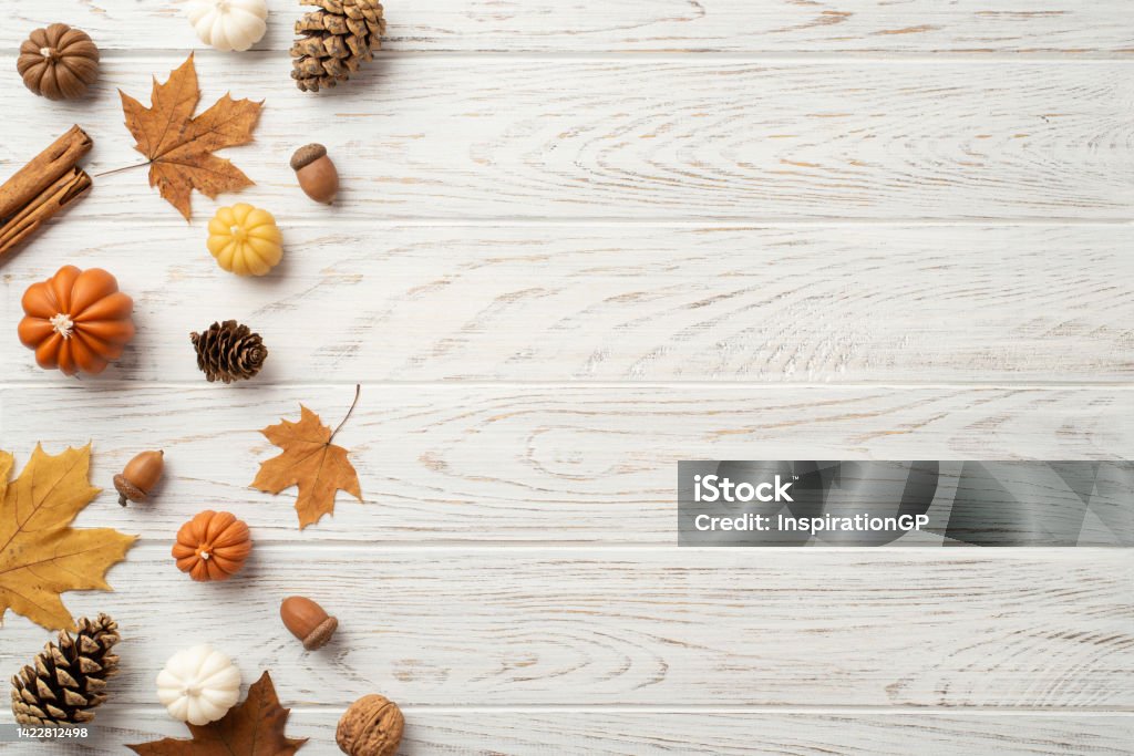 Thanksgiving day concept. Top view photo of maple leaves pine cones acorns small pumpkins walnut and cinnamon sticks on isolated white wooden table background with copyspace Rustic Stock Photo