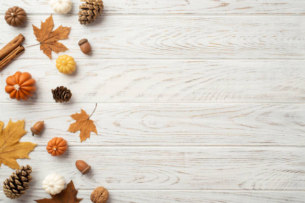 Thanksgiving day concept. Top view photo of maple leaves pine cones acorns small pumpkins walnut and cinnamon sticks on isolated white wooden table background with copyspace Thanksgiving day concept. Top view photo of maple leaves pine cones acorns small pumpkins walnut and cinnamon sticks on isolated white wooden table background with copyspace acorn photos stock pictures, royalty-free photos & images