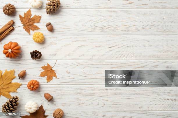 Thanksgiving Day Concept Top View Photo Of Maple Leaves Pine Cones Acorns Small Pumpkins Walnut And Cinnamon Sticks On Isolated White Wooden Table Background With Copyspace Stock Photo - Download Image Now