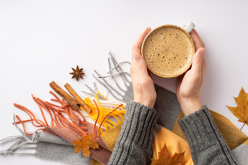Autumn concept. First person top view photo of woman's hands in sweater holding cup of frothy coffee over plaid yellow maple leaves anise and cinnamon sticks on isolated white background