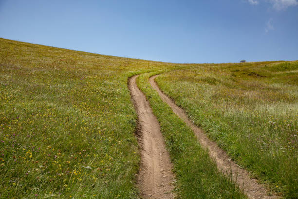 istock mountain valley road landscape 1422814487