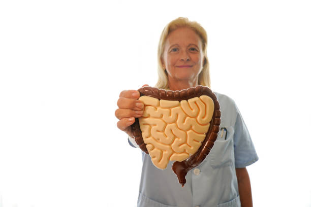 istock Nurse show a plastic intestine. White background 1422814604