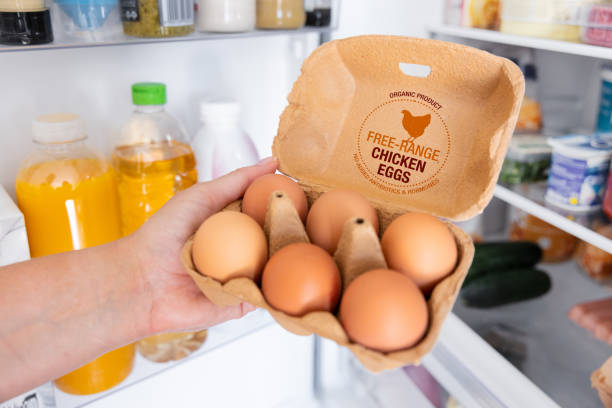 Woman holding package of free range chicken eggs stock photo