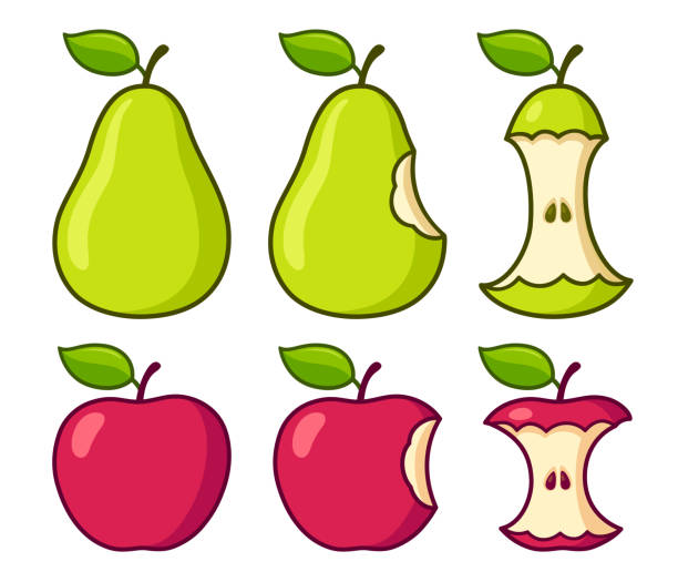 illustrations, cliparts, dessins animés et icônes de ensemble de dessins animés mangeant des poires et des pommes - apple missing bite fruit red