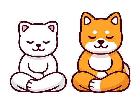 Cat and dog sitting in meditation, cartoon drawing. Cute funny Shiba Inu and white kitten meditating in lotus position, vector clip art illustration.