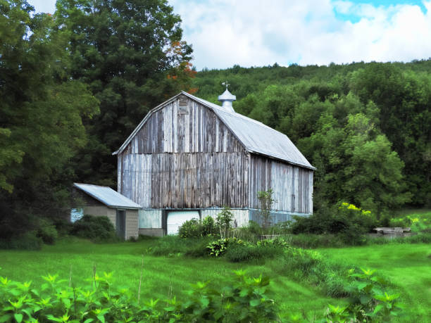istock Barn and farmland in the Adirondacks 1422823306