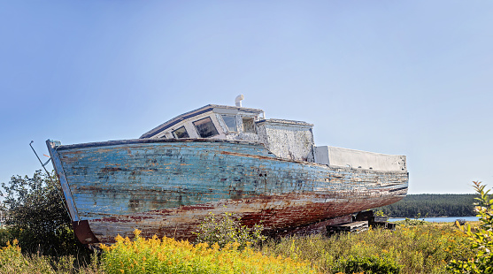 An abandoned boat in grass