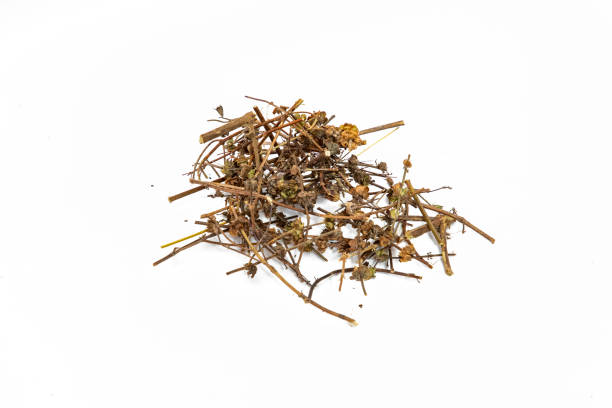 istock Nigella or black cumin with medicinal tulsi seeds on white background 1422824939