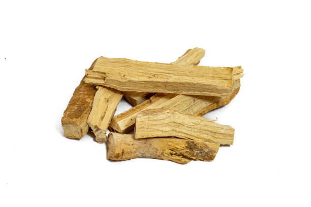 istock Wrightia antidysenterica or kutaj bark isolated on plan background 1422825451