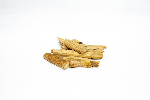 istock Wrightia antidysenterica or kutaj bark isolated on plan background 1422825452