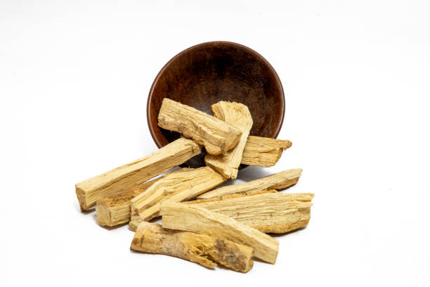 istock Wrightia antidysenterica or kutaj bark isolated on plan background 1422825454