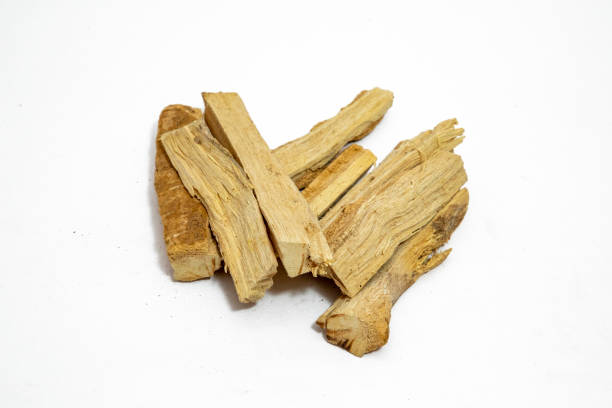 istock Wrightia antidysenterica or kutaj bark isolated on plan background 1422825455