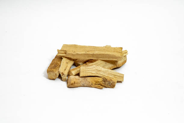 istock Wrightia antidysenterica or kutaj bark isolated on plan background 1422825976