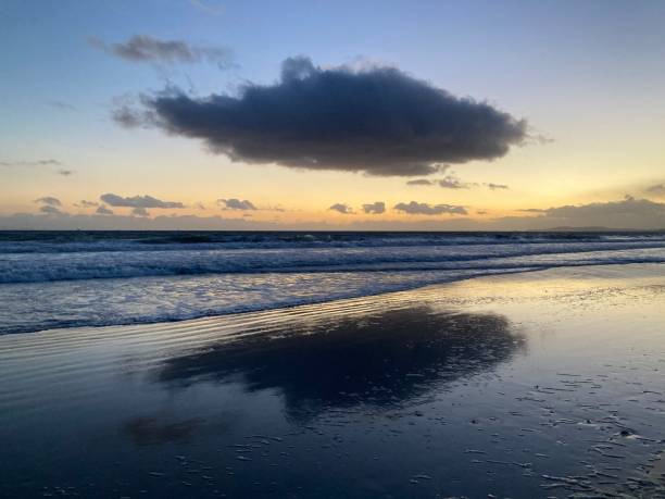 istock Large whale-shaped cloud reflected on wet sand at the beach 1422826437