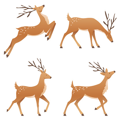A cute simple cartoon style image of reindeer in flat colors on a transparent background.