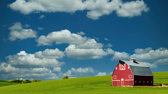 A country Red barn and summer evening cloudscape in rural Minnesota. This photo includes farm silos and sheds with green grass in the foreground. I used a wide angle 14-24 mm lens to help with the framing of this landscape shot.