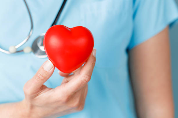 Medicine doctor holding red heart shape in hand, medical concept stock photo