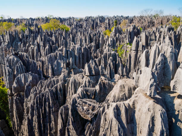 Panoramic view of karst limestone formations in Tsingy de Bemaraha National Park, Madagascar stock photo